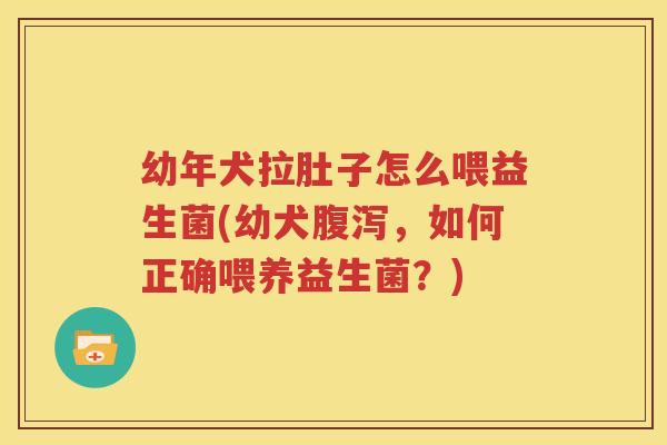 幼年犬拉肚子怎么喂益生菌(幼犬腹泻，如何正确喂养益生菌？)