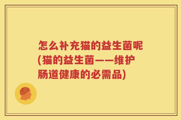 怎么补充猫的益生菌呢(猫的益生菌——维护肠道健康的必需品)