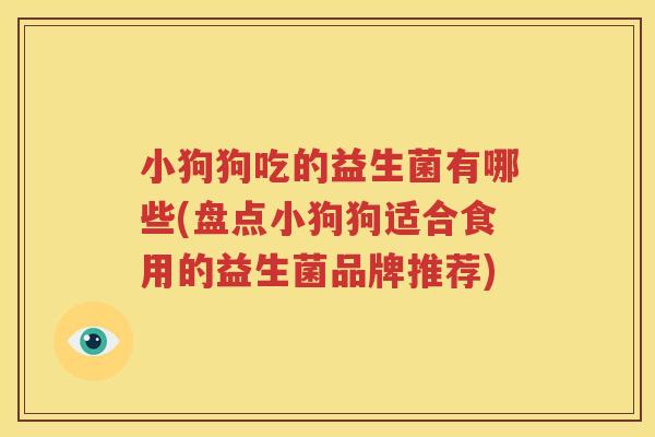 小狗狗吃的益生菌有哪些(盘点小狗狗适合食用的益生菌品牌推荐)