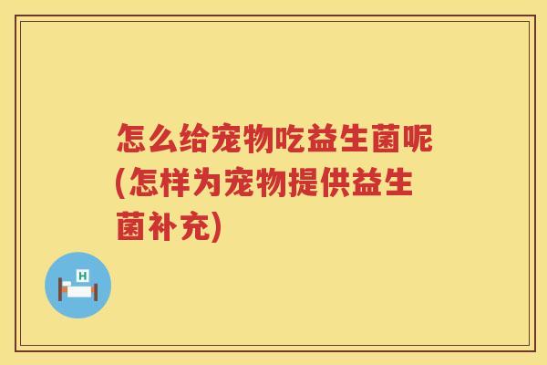 怎么给宠物吃益生菌呢(怎样为宠物提供益生菌补充)
