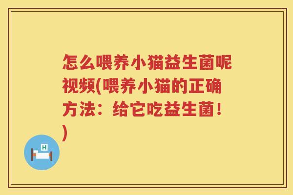 怎么喂养小猫益生菌呢视频(喂养小猫的正确方法：给它吃益生菌！)