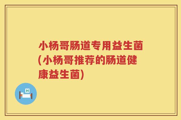 小杨哥肠道专用益生菌(小杨哥推荐的肠道健康益生菌)