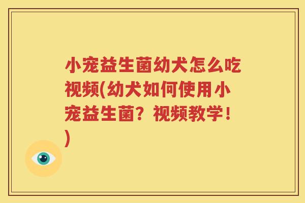 小宠益生菌幼犬怎么吃视频(幼犬如何使用小宠益生菌？视频教学！)
