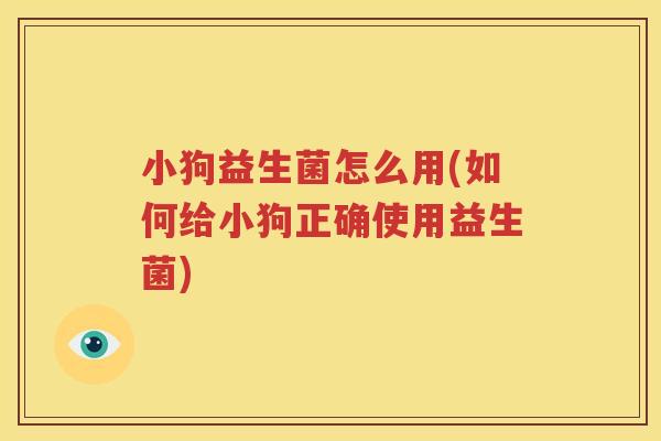 小狗益生菌怎么用(如何给小狗正确使用益生菌)
