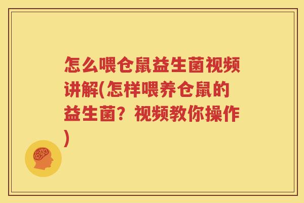 怎么喂仓鼠益生菌视频讲解(怎样喂养仓鼠的益生菌？视频教你操作)