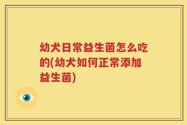 幼犬日常益生菌怎么吃的(幼犬如何正常添加益生菌)