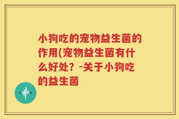 小狗吃的宠物益生菌的作用(宠物益生菌有什么好处？-关于小狗吃的益生菌