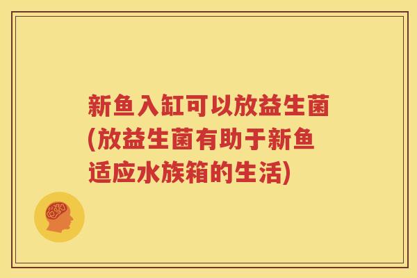 新鱼入缸可以放益生菌(放益生菌有助于新鱼适应水族箱的生活)