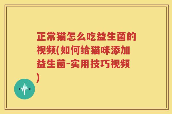 正常猫怎么吃益生菌的视频(如何给猫咪添加益生菌-实用技巧视频)