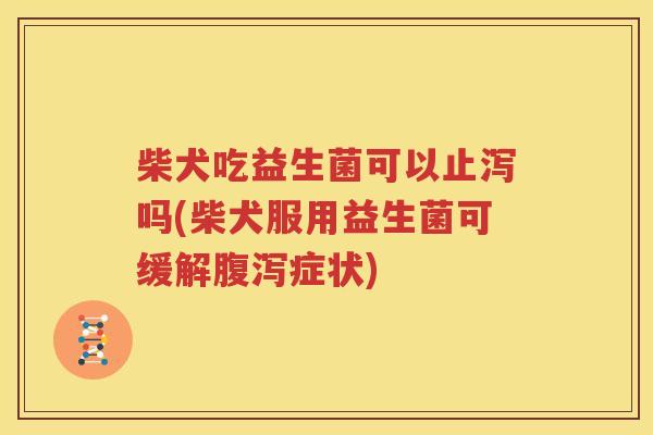 柴犬吃益生菌可以止泻吗(柴犬服用益生菌可缓解腹泻症状)
