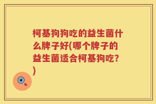 柯基狗狗吃的益生菌什么牌子好(哪个牌子的益生菌适合柯基狗吃？)