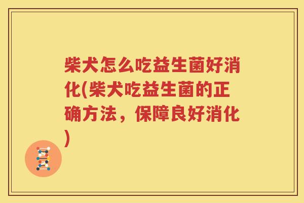 柴犬怎么吃益生菌好消化(柴犬吃益生菌的正确方法，保障良好消化)