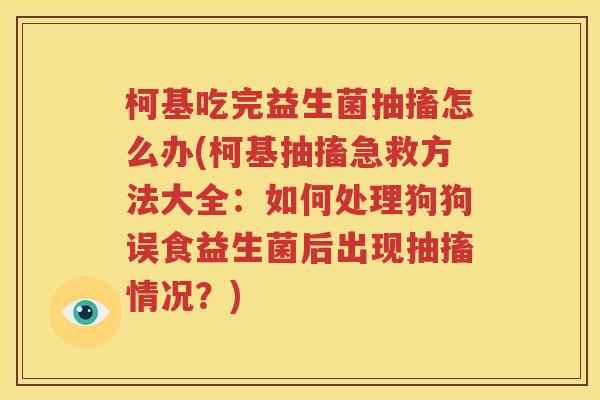 柯基吃完益生菌抽搐怎么办(柯基抽搐急救方法大全：如何处理狗狗误食益生菌后出现抽搐情况？)