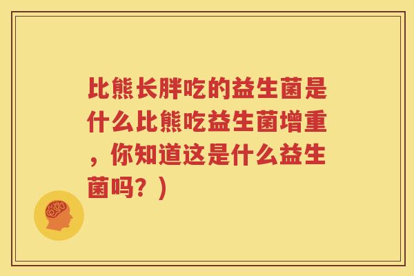 比熊长胖吃的益生菌是什么比熊吃益生菌增重，你知道这是什么益生菌吗？)