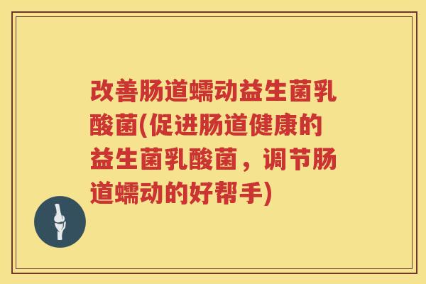 改善肠道蠕动益生菌乳酸菌(促进肠道健康的益生菌乳酸菌，调节肠道蠕动的好帮手)