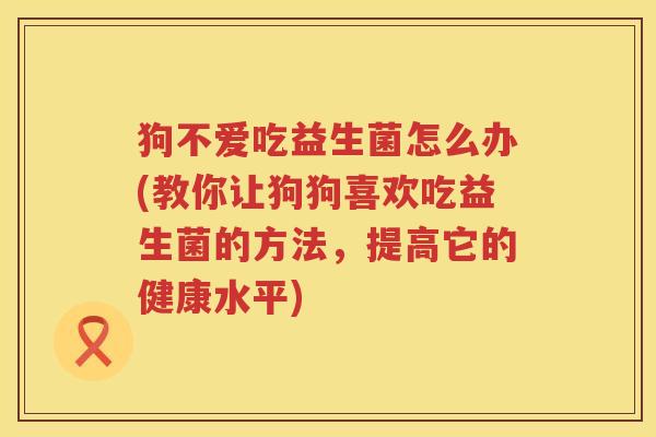 狗不爱吃益生菌怎么办(教你让狗狗喜欢吃益生菌的方法，提高它的健康水平)