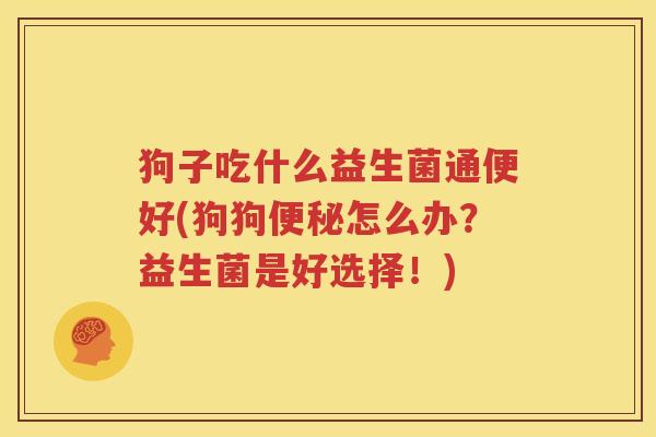 狗子吃什么益生菌通便好(狗狗便秘怎么办？益生菌是好选择！)