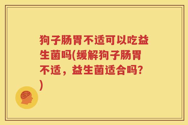 狗子肠胃不适可以吃益生菌吗(缓解狗子肠胃不适，益生菌适合吗？)