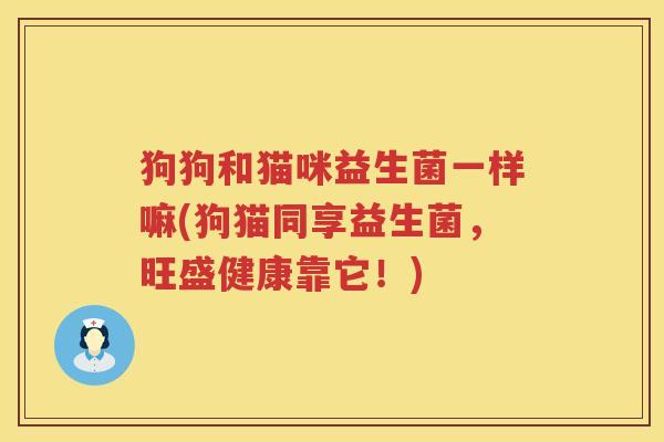 狗狗和猫咪益生菌一样嘛(狗猫同享益生菌，旺盛健康靠它！)