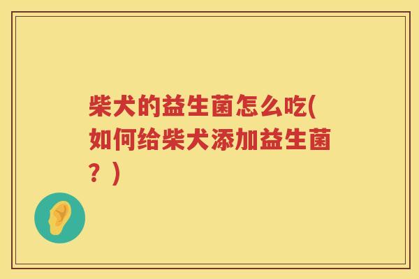柴犬的益生菌怎么吃(如何给柴犬添加益生菌？)