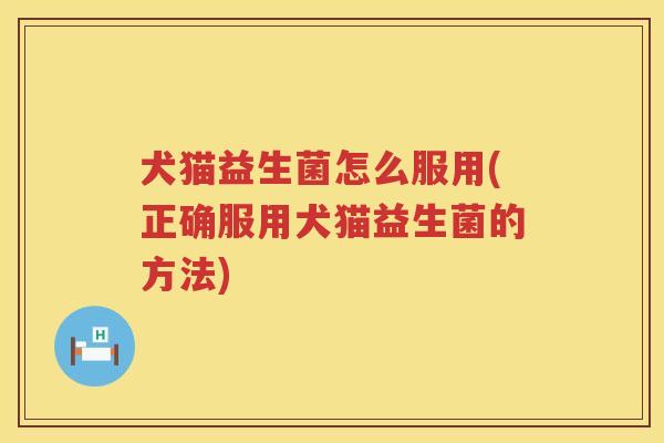 犬猫益生菌怎么服用(正确服用犬猫益生菌的方法)