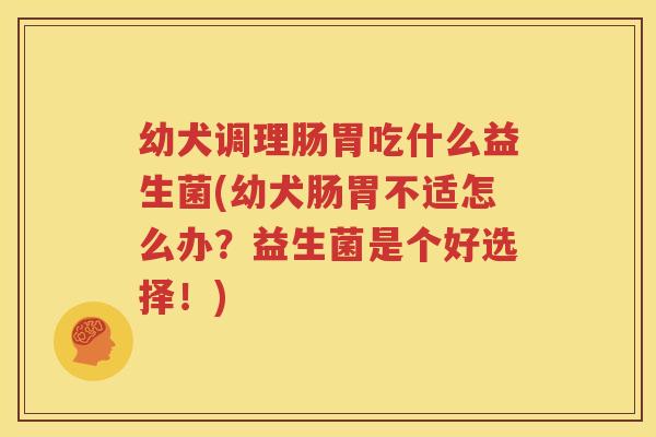 幼犬调理肠胃吃什么益生菌(幼犬肠胃不适怎么办？益生菌是个好选择！)
