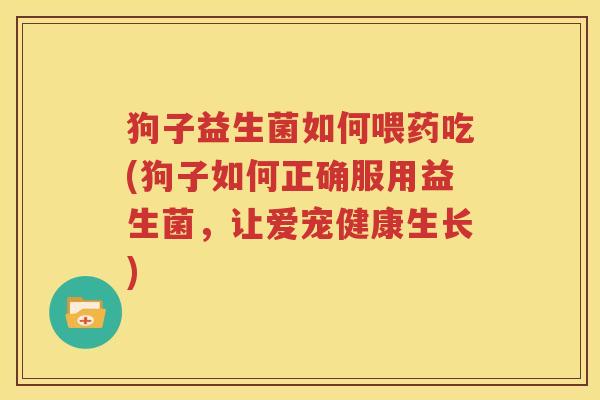 狗子益生菌如何喂药吃(狗子如何正确服用益生菌，让爱宠健康生长)