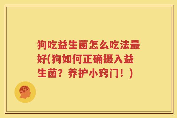 狗吃益生菌怎么吃法最好(狗如何正确摄入益生菌？养护小窍门！)