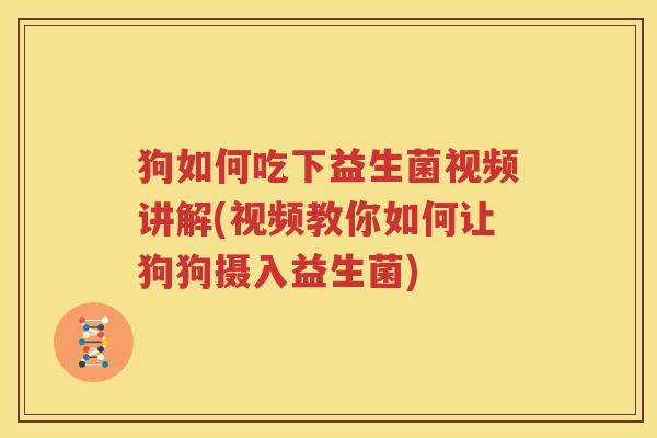 狗如何吃下益生菌视频讲解(视频教你如何让狗狗摄入益生菌)