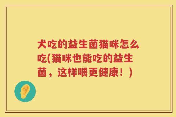 犬吃的益生菌猫咪怎么吃(猫咪也能吃的益生菌，这样喂更健康！)
