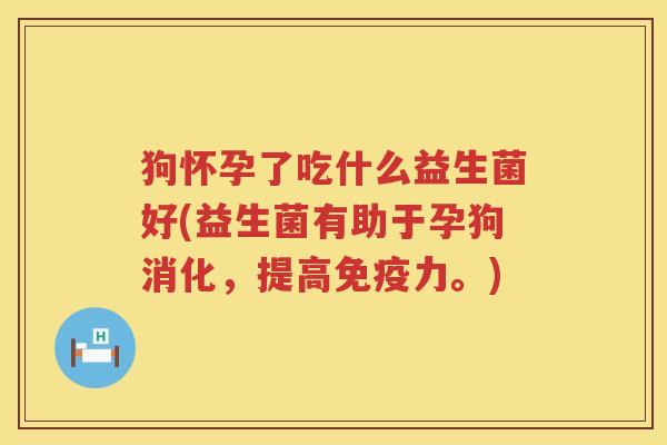 狗怀孕了吃什么益生菌好(益生菌有助于孕狗消化，提高免疫力。)