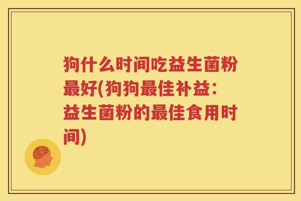 狗什么时间吃益生菌粉最好(狗狗最佳补益：益生菌粉的最佳食用时间)