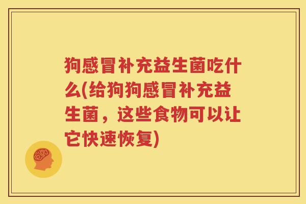 狗感冒补充益生菌吃什么(给狗狗感冒补充益生菌，这些食物可以让它快速恢复)