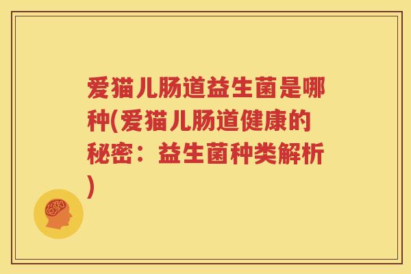 爱猫儿肠道益生菌是哪种(爱猫儿肠道健康的秘密：益生菌种类解析)