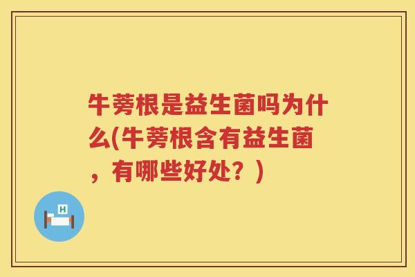 牛蒡根是益生菌吗为什么(牛蒡根含有益生菌，有哪些好处？)