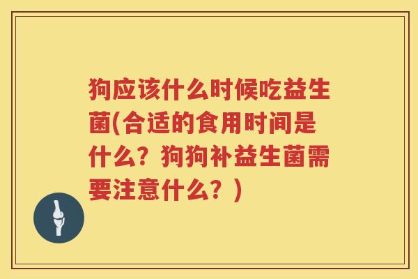 狗应该什么时候吃益生菌(合适的食用时间是什么？狗狗补益生菌需要注意什么？)