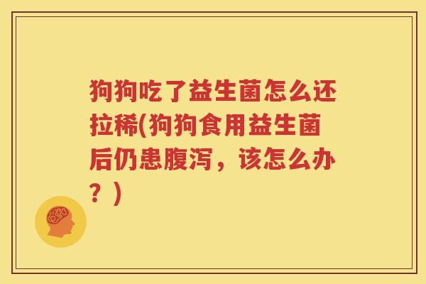 狗狗吃了益生菌怎么还拉稀(狗狗食用益生菌后仍患腹泻，该怎么办？)