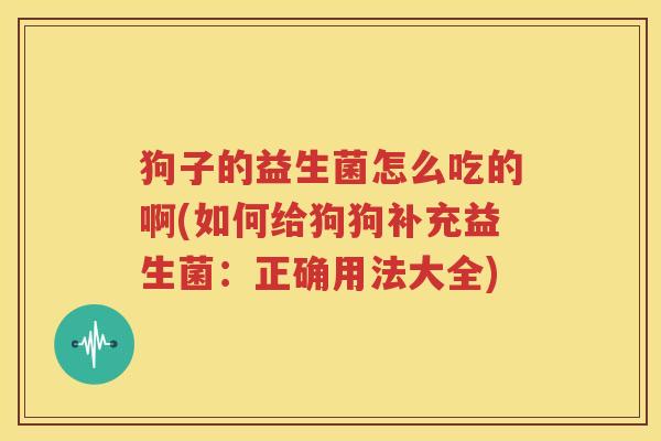 狗子的益生菌怎么吃的啊(如何给狗狗补充益生菌：正确用法大全)