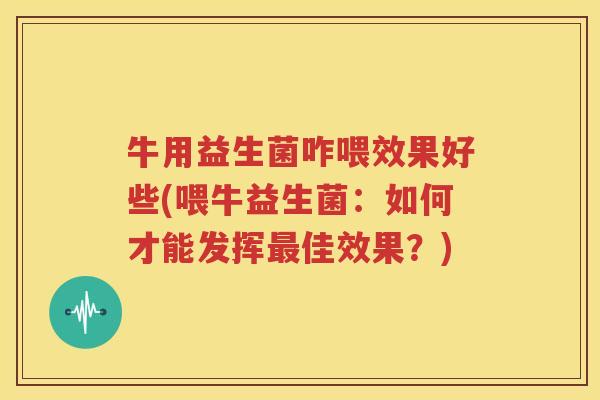 牛用益生菌咋喂效果好些(喂牛益生菌：如何才能发挥最佳效果？)