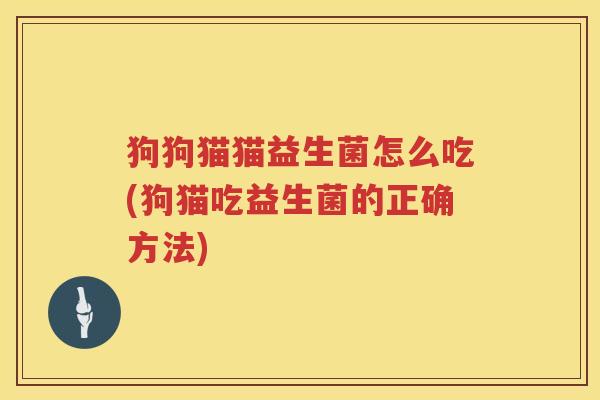 狗狗猫猫益生菌怎么吃(狗猫吃益生菌的正确方法)