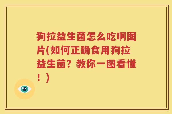狗拉益生菌怎么吃啊图片(如何正确食用狗拉益生菌？教你一图看懂！)