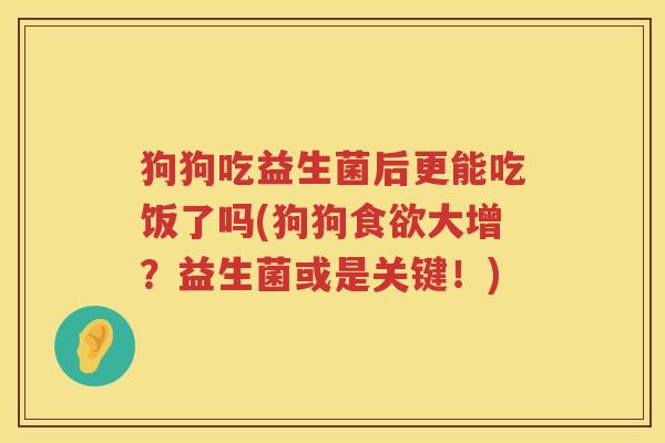 狗狗吃益生菌后更能吃饭了吗(狗狗食欲大增？益生菌或是关键！)