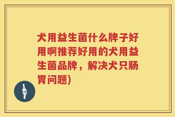 犬用益生菌什么牌子好用啊推荐好用的犬用益生菌品牌，解决犬只肠胃问题)