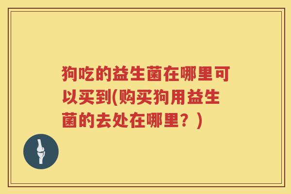 狗吃的益生菌在哪里可以买到(购买狗用益生菌的去处在哪里？)