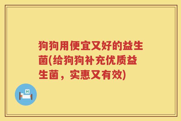 狗狗用便宜又好的益生菌(给狗狗补充优质益生菌，实惠又有效)