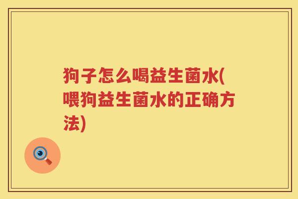 狗子怎么喝益生菌水(喂狗益生菌水的正确方法)