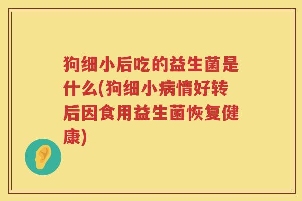 狗细小后吃的益生菌是什么(狗细小病情好转后因食用益生菌恢复健康)
