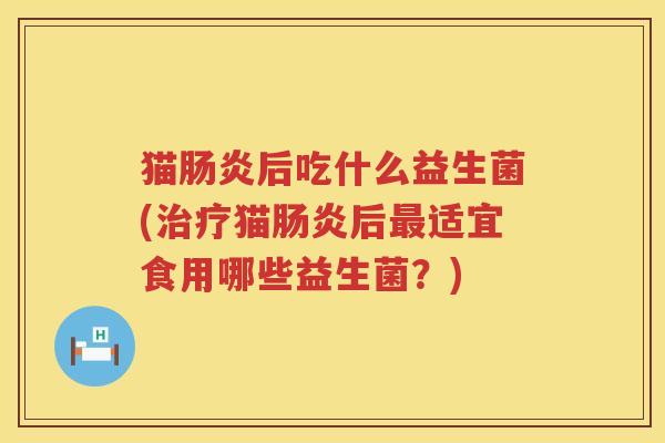 猫肠炎后吃什么益生菌(治疗猫肠炎后最适宜食用哪些益生菌？)