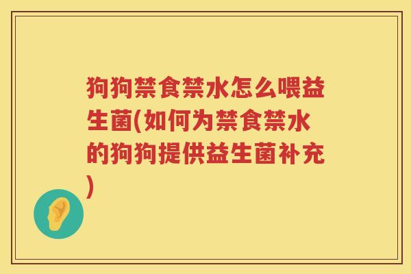 狗狗禁食禁水怎么喂益生菌(如何为禁食禁水的狗狗提供益生菌补充)