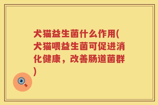 犬猫益生菌什么作用(犬猫喂益生菌可促进消化健康，改善肠道菌群)